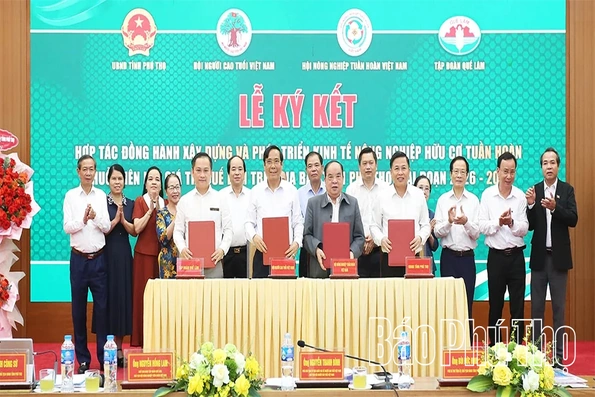 Người cao tuổi thúc đẩy nông nghiệp hữu cơ tuần hoàn