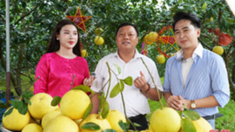 Khi lãnh đạo và người dân Hà Tĩnh chung tay xây dựng "Địa phương số"