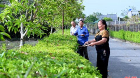 Quán triệt Nghị quyết Đại hội Đảng bộ tỉnh: Tư tưởng thông, hành động quyết liệt