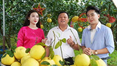 Khi lãnh đạo và người dân Hà Tĩnh chung tay xây dựng "Địa phương số"