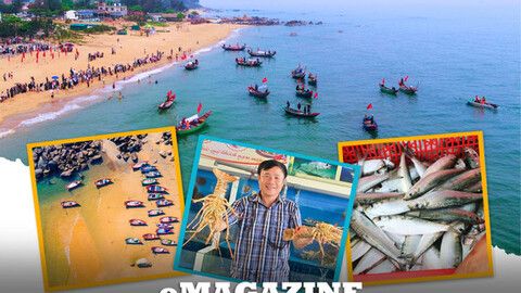 Kỳ Xuân khơi nguồn khát vọng trung tâm đô thị du lịch ven biển