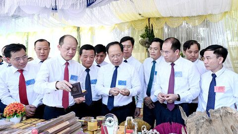 Tiếp tục nghiên cứu, phát triển nông sản chủ lực của Hương Đô phù hợp quy hoạch