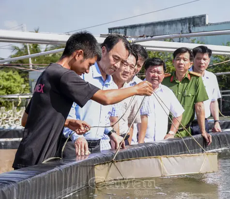 Xã Hưng Hội cần tập trung phát triển nông nghiệp công nghệ cao