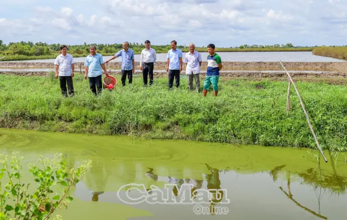 Cụ thể hoá nghị quyết từ những việc trọng tâm, sát thực tiễn