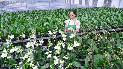 Luật Thủ đô năm 2026: Thí điểm cơ chế, chính sách mới