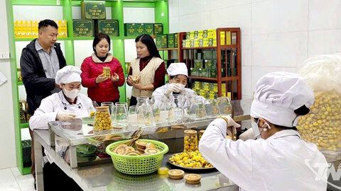 Thái Nguyên: 35 sản phẩm nông nghiệp tiêu biểu cấp tỉnh năm 2025