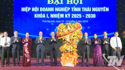 Hiệp hội Doanh nghiệp Thái Nguyên: Khối liên kết mạnh mẽ, thúc đẩy phát triển chung