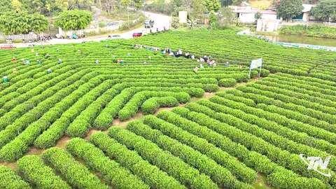 Lan tỏa giá trị từ khoa học và công nghệ
