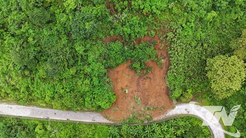 Cấm người và phương tiện lưu thông qua khu vực sạt lở trên QL.279