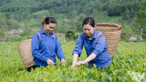 Tập huấn khuyến công: 'Đánh thức' tư duy sản xuất mới