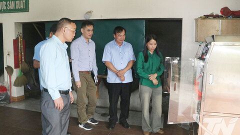 Khuyến công hỗ trợ phát triển sản phẩm chè Thái Nguyên