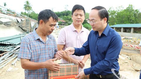 Phó Bí thư Thường trực Tỉnh ủy Nguyễn Đăng Bình kiểm tra công tác khắc phục hậu quả thiên tai