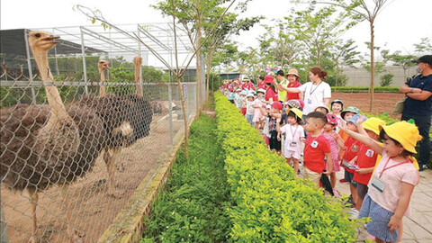 Nông nghiệp đa giá trị gắn với tái cấu trúc đô thị