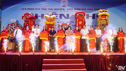 Khai mạc Phiên chợ nông sản OCOP và ẩm thực vùng miền