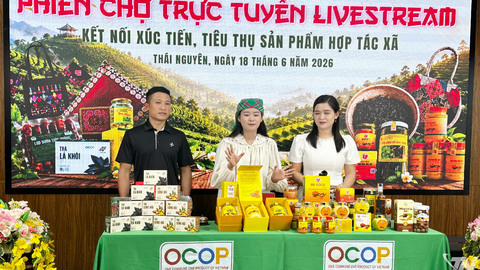 Tập huấn kỹ năng livestream bán hàng cho các hợp tác xã