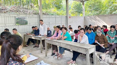 Giấy thông hành xanh cho lâm nghiệp Thái Nguyên