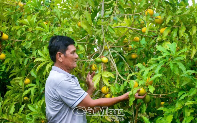 Khánh Hưng phát huy sức mạnh đại đoàn kết, lan toả những mô hình hay