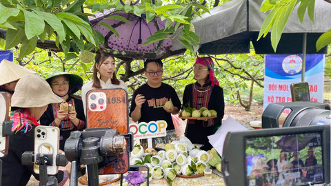 OCOP Thái Nguyên và bài toán nâng tầm giá trị nông sản địa phương