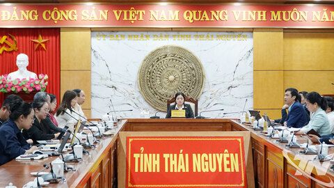 Sớm hoàn tất công tác chuẩn bị Lễ hội 'Thái Nguyên – Hương sắc danh trà'