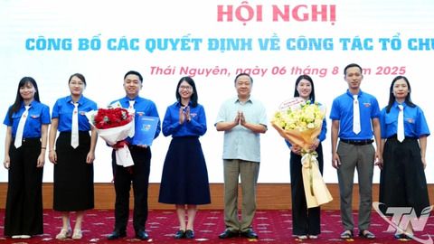 Tỉnh đoàn Thái Nguyên phát động phong trào cán bộ trẻ xung phong về cơ sở