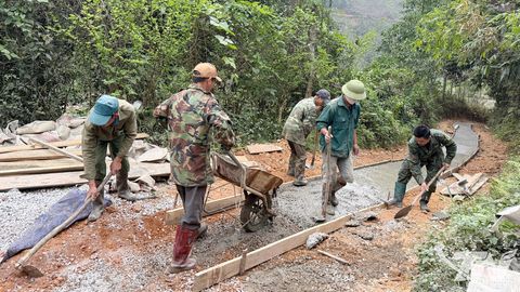 Cách làm mới cải thiện sinh kế nông thôn