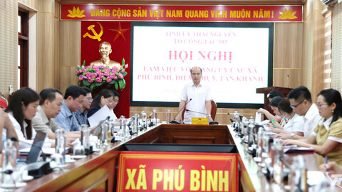 Rà soát, xử lý cơ sở nhà, đất dôi dư tại các xã Phú Bình, Điềm Thụy, Tân Khánh