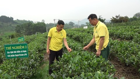 Thái Nguyên khẳng định giá trị OCOP bằng chất lượng bền vững