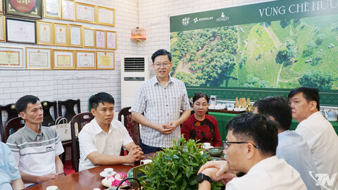 Đồng chí Đinh Quang Tuyên thăm và làm việc tại Công ty CP Chè Hà Thái