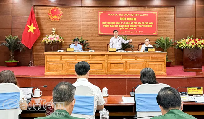Cà Mau kiến nghị tháo gỡ khó khăn trước Kỳ họp thứ 10, Quốc hội khóa XV