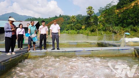 Vốn vay chính sách: Trao cơ hội, tiếp sức người dân làm giàu