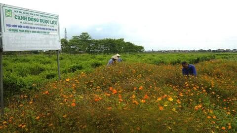 Dám nghĩ, dám làm vì sự phát triển của Thủ đô