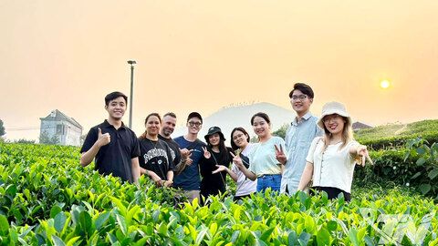 Kết nối số, lan tỏa hương trà