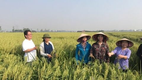 Dân vận khéo tạo động lực phát triển nông nghiệp xanh ở Thư Lâm