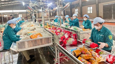 'Giữ lửa' sản xuất miến vụ Tết