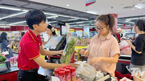 Thị trường đang dần trở lại nhịp tăng trưởng ổn định