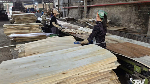 Dòng vốn ngân hàng góp phần thúc đẩy tăng trưởng cho doanh nghiệp