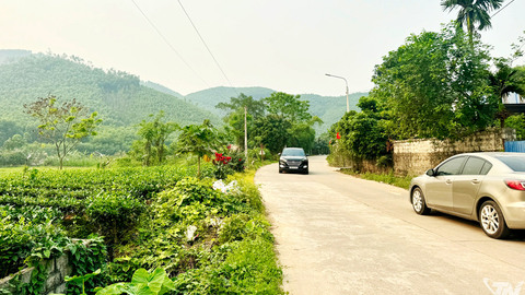 Nông Trường vươn lên từ đồi rừng