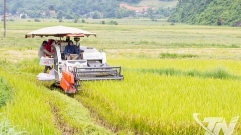 Thái Nguyên chủ động triển khai sản xuất vụ đông