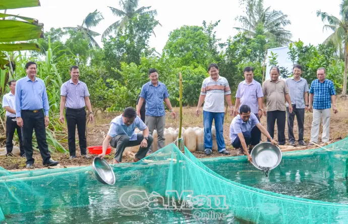 Khai thác tiềm năng đất rừng, đa dạng hóa kinh tế