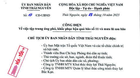 Công điện về việc tập trung ứng phó, khắc phục hậu quả bão số 11 và mưa lũ sau bão