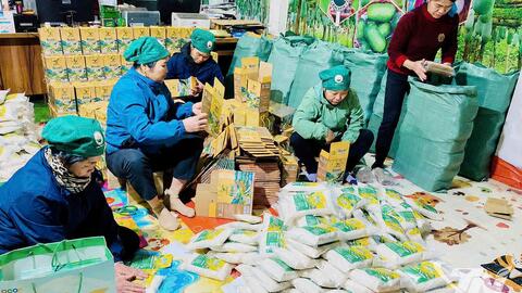 Kết nối thị trường, thúc đẩy tiêu thụ nông sản
