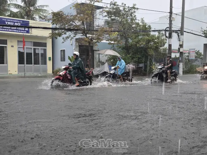 Mưa lớn đầu mùa, nhiều tuyến đường nội ô Cà Mau ngập sâu
