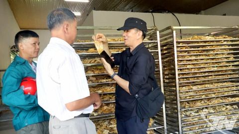 Tập huấn tiếp cận, liên kết thị trường sản phẩm dược liệu