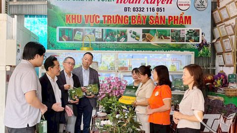 Tiêu thụ nông sản gắn với làm du lịch