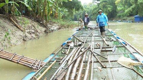 Bảo vệ lồng cá mùa mưa bão