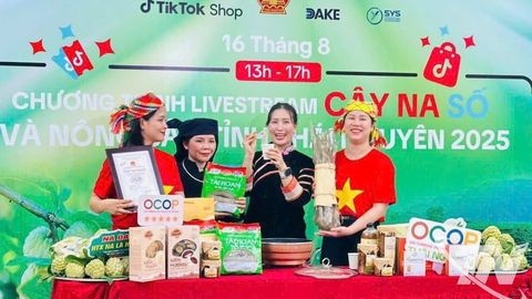 Thái Nguyên hướng tới tốp 3 cả nước về sử dụng tên miền '.vn'