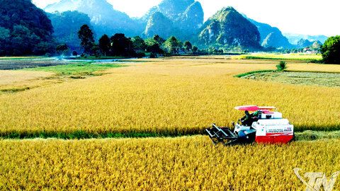 Giải pháp nào giảm nghèo bền vững?