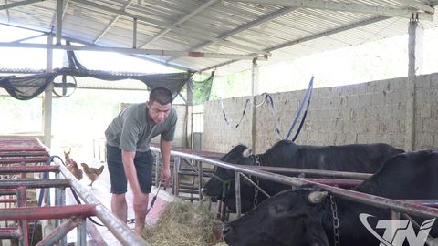 Khẩn trương vệ sinh chuồng trại để tái đàn