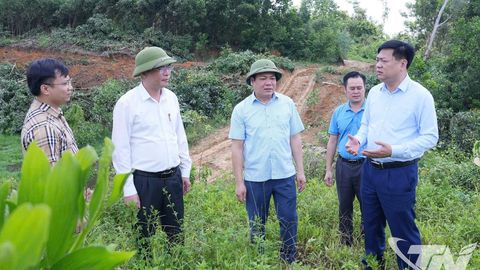 Đẩy nhanh tiến độ thu ngân sách từ đất đai