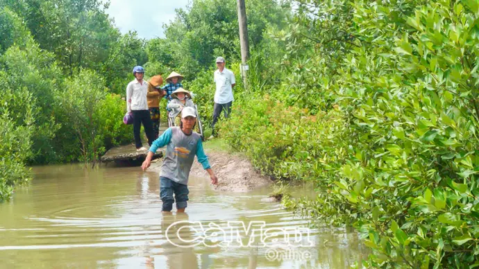 Người dân ấp Tân Thành khó khăn vì tuyến lộ bị chia cắt